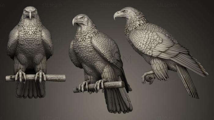 Статуэтки птицы eagle on a perch
